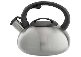 Чайник нержавейка 2,5л BE-0599/9234 со свистком