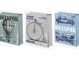 Упаковочная сумочка 18*23 Ч53344/346 Мужская