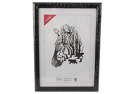 Ф/рамка 15*21 508 пластик