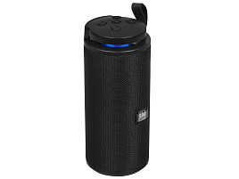 Акустика портативная SOUNDMAX SM-PS5015B черный