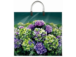 Пакет петля с пласт.ручкой 34*37 Веранда