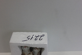 Статуэтка S2215 Кролик (фарфор)