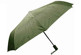 Зонт женский полуавтомат HTDMYR48/7015 Розы болотный