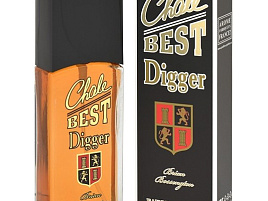 Туалетная вода мужская Chale Best Digger 95 мл.