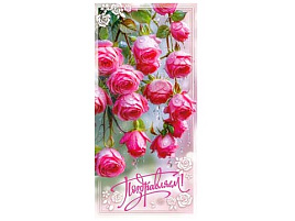 Конверт для денег Поздравляем 90-1928