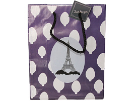 Упаковочная сумочка 18*23 Париж