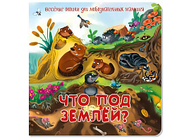 Книга с двойными окошками 8741 ЧТО ПОД ЗЕМЛЕЙ?