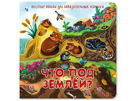 Книга с двойными окошками 8741 ЧТО ПОД ЗЕМЛЕЙ?