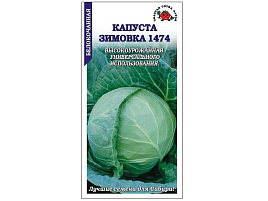 Семена Капуста Зимовка 0,5г б/п ЗСА 2176
