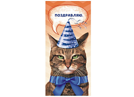 Конверт для денег Поздравляю ОКЛ-165