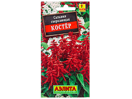 Семена Сальвия Костер 0,1г А 0105