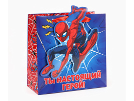 Упаковочная сумочка 22*22 10906196 Супергерой