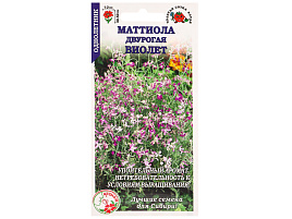 Семена Маттиола Виолет 0,5г ЗСА 0830