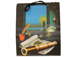 Упаковочная сумочка 26*32 Мужская 1043