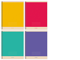 Тетрадь 48л. на спирали  Т5гр48 11050 "Monocolor. Simple"