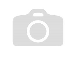 Сувенир Парочка свет