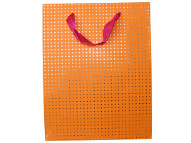 Упаковочная сумочка 26*32 Неоновое ассорти (люкс)