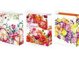 Упаковочная сумочка 18*23 ч53290 Женская микс