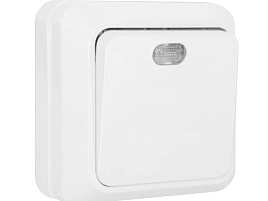 Выключатель 1 кл. ОП Олимп 10А с инд бел О0121