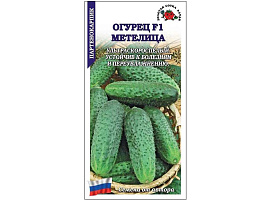 Семена Огурец Метелица F1 0,15г ЗСА 7385
