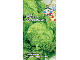 Семена Салат Обхрустишься (кочан, айсберг) 0,5г СД 3578