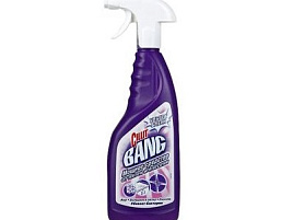 Средство чистящее Силлит Бэнг кур.750мл.Анипятна и гигиена 1989