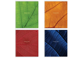 Тетрадь 96л.  Т5ск96_лм 09062 "Макро", матовая ламинация