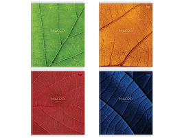 Тетрадь 96л.  Т5ск96_лм 09062 "Макро", матовая ламинация
