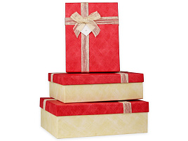 Коробка Бесценные моменты ПП-5419 (2)