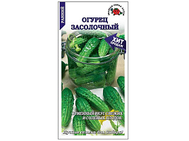 Семена Огурец Засолочный 0,3г б/п ЗСА 4620