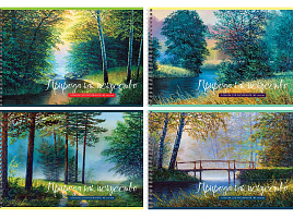 Альбом для рисования 40л. на спирали BG АР4гр40 10896 "Природа как искусство"