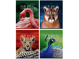 Тетрадь 96л.  Т5ск96_лг 12081 "Животные", глянцевая ламинация