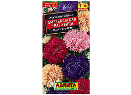 Семена Астра Американская красавица смесь 0,2г А 0164