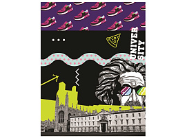 Тетрадь на кольцах 240л. ТТ5к240_лг 10109 "Универ", с разделителями, глянцевая ламинация