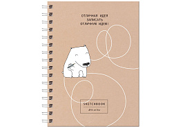 Скетчбук BG СТ5гр80_лм_вл 9874 80л., А5 "Отличная идея", на гребне, матовая ламинация, выб. лак, 120г/м2