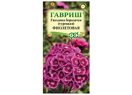 Семена Гвоздика Турецкая Фиолетовая 0,1г Г 1547