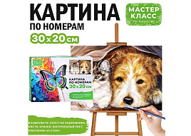 Картина для раскрашивания 20*30 MKR3020-107 Дружба, по номерам