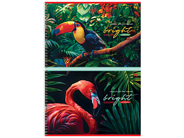 Альбом для рисования 32л. на спирали BG АР4гр32 08636 "Яркие"