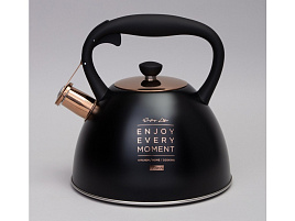 Чайник нержавейка 3л 914-157/1571 Agness со свистком индукция