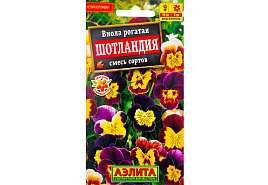 Семена Виола Шотландия 0,1г А 1319