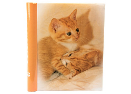 Фотоальбом 10л. магнит 64465