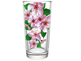 Набор стаканов 6шт 146-Д Сакура