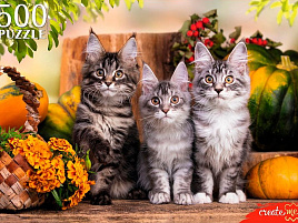 Пазл 500эл. Три непоседлевых котенка ШТП500-1472