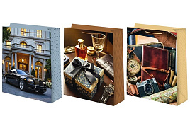 Упаковочная сумочка 18*23 Ч55817 Мужская микс