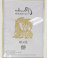 Ф/рамка 30*40 100 пластик Белый/Золото