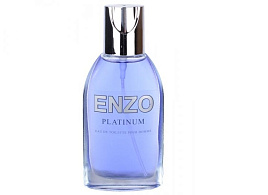 Туалетная вода мужская Enzo Platinum 95мл.