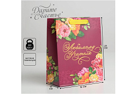 Упаковочная сумочка 5284118 MS 18*23*10 "Любимому учителю"