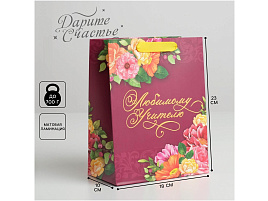 Упаковочная сумочка 5284118 MS 18*23*10 "Любимому учителю"