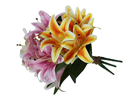 Цветок букет Лилия №48