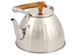 Чайник нержавейка 3л GS-04431A-4/8978 Даникс индукция